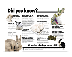 Did you know - The Sacramento House Rabbit Society