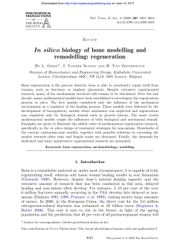 In silico biology of bone modelling and remodelling: regeneration