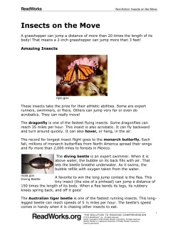 Insects on the Move