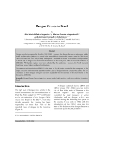 Dengue Viruses in Brazil - World Health Organization