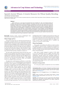 Peer-reviewed Article PDF - e