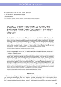 Dispersed organic matter in shales from Menilite Beds within Polish