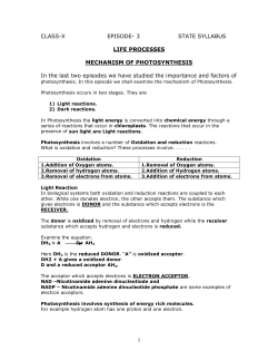 1 CLASS-X EPISODE- 3 STATE SYLLABUS LIFE PROCESSES