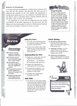 I"`.`." &middot;~II~o-`iff ,I