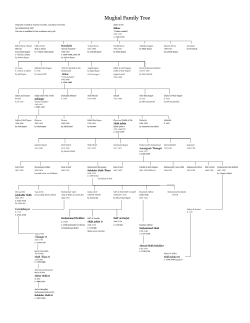 Mughal Family Tree (Pashas edit 2).xlsx