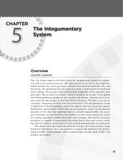 5 The Integumentary System