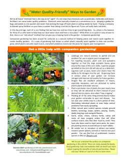 &ldquo;Water Quality-Friendly&rdquo; Ways to Garden