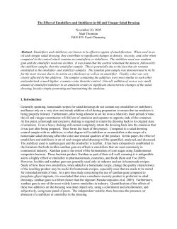 The Effect of Emulsifiers and Stabilizers in Oil and Vinegar Salad
