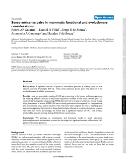 Sense-antisense pairs in mammals: functional