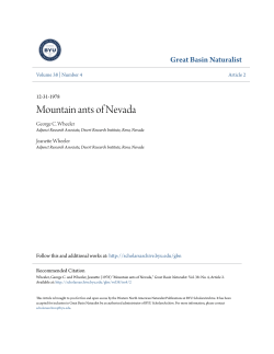 Mountain ants of Nevada