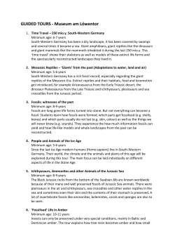 GUIDED TOURS - Museum am L&ouml;wentor