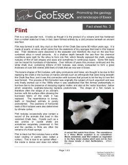 GeoEssex Fact Sheet No. 3