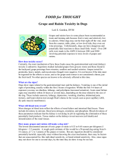FOOD for THOUGHT Grape and Raisin Toxicity in Dogs