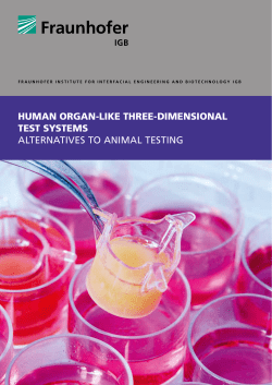 human organ-like three-dimensional test systems
