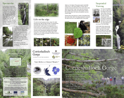 Corrieshalloch Gorge - National Trust for Scotland