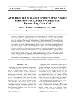 Abundance and population structure of the Atlantic horseshoe crab