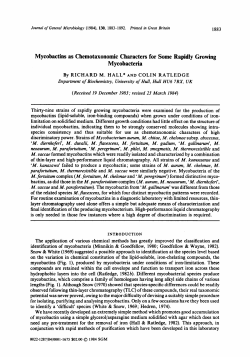 Mycobactins as Chemotaxonomic Characters for