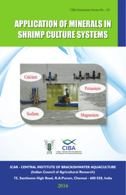 Application of minerals in shrimp culture systems