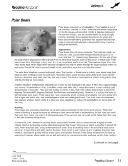 Polar Bears - Reading Horizons