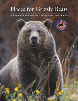 A Place for Grizzlies - Defenders of Wildlife