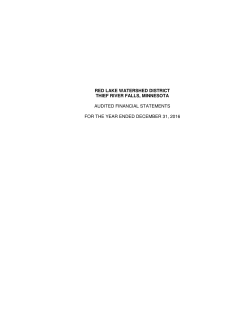2016 Audit Report - Red Lake Watershed District