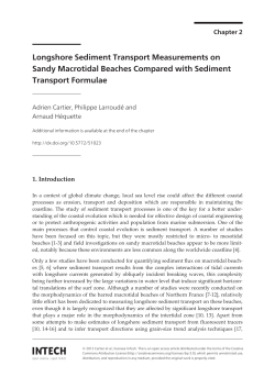 Longshore Sediment Transport Measurements on Sandy Macrotidal
