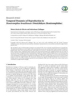 Temporal Dynamics of Reproduction in Hemiramphus brasiliensis