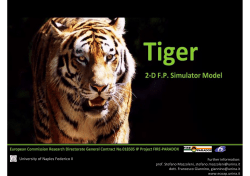 Tiger brochure - Fire Intuition