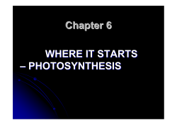 Chapter 6 WHERE IT STARTS – PHOTOSYNTHESIS