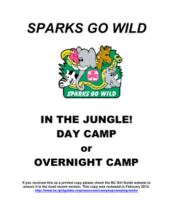 Sparks Go Wild in the Jungle