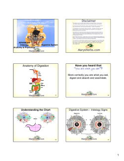 Anatomy of Digestion Have you heard that &ldquo;You are