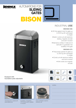 Beninca Bison-20