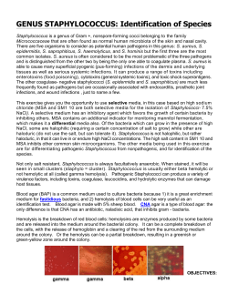 GENUS STAPHYLOCOCCUS: Identification of Species