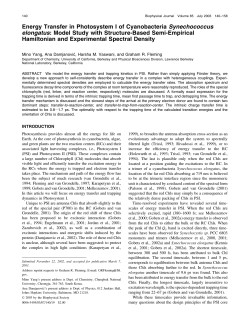 Energy Transfer in Photosystem I of Cyanobacteria Synechococcus