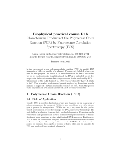 R1b_PCR_FCS_Instructions_English