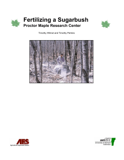 Fertilizing a Sugarbush