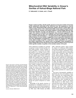 Mitochondrial DNA Variability in Grauer`s Gorillas of Kahuzi