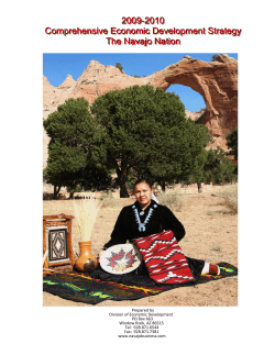 2009-2010 Comprehensive Economic Development Strategy