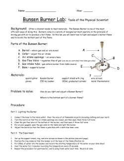 Bunsen Burner Lab