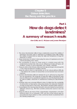 How do dogs detect landmines?