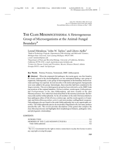 THE CLASS MESOMYCETOZOEA: A