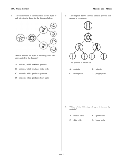 EOC Week 2 review Meiosis and Mitosis