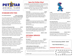 Canine Spay Plan - PetStar Animal Care