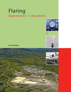 Flaring - World Bank Group