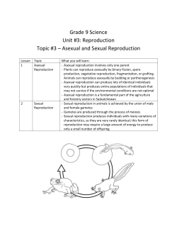 Grade 9 Science Unit #3: Reproduction Topic #3 &ndash; Asexual and
