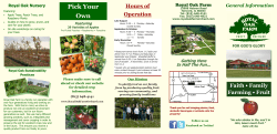 Royal Oak Farm Orchard