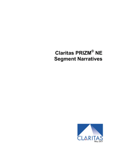 PRIZM NE Segment Narratives 2007