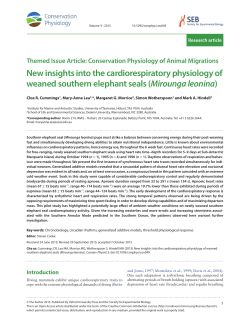 New insights into the cardiorespiratory physiology of weaned