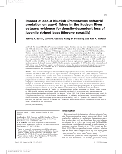 Buckel et al. 1999