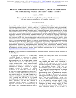 Structural Models And Considerations On The COA6